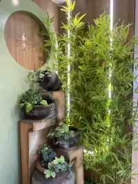 緩解壓力好辦法：

1、抑制杏仁核：到室外做深呼吸；聞香氣；寫出來（歌德）；

2、激發多巴胺：做自己愛做的事情；慶祝自己的成功，獎勵自己，形成快樂的神經網絡興奮；享受藝術作品；

3、血清素：幫助別人、取得成就；體現自我價值；保護自己的自尊心；嗮太陽；

4、內啡肽：有規律的運動，做先苦后甜的事情，幽默和聽笑話，相聲喜劇；

5、催產素：擁抱、被夸獎、被欣賞、會說話、多說理解的話、多聊富有同理心的話，多聊沒有答案的話題！配圖