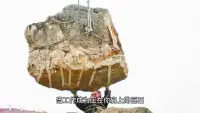 在現(xiàn)代社會工作壓力越來越大，工作性抑郁已經(jīng)成為一種普遍現(xiàn)象。

當(dāng)工作成為壓在你肩上的巨石，生活的色彩逐漸流失，你可能已經(jīng)陷入了工作性抑郁。

這種心理狀態(tài)并非罕見，它悄然侵襲著許多職場人的心靈卻往往被忽視。配圖