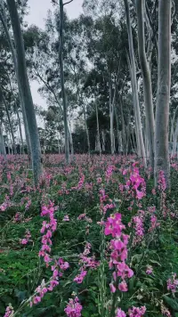 愛一個人蕞好的方式就是經營好自己， 給對方一個優質的愛人 ，并不是要拼命對一個人好！配圖
