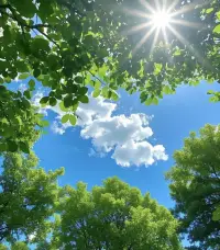 守護能量的方式

學會讓自己處于高能量狀態，是一種積極的生活態度和自我提升的方式。

??首先，永遠不要在談話中自貶，避免破窗效應。不要習慣性回顧過去的錯誤和尷尬，要學會原諒自己，停止反復回憶過去的錯誤和蠢事。

??其次，不要提前焦慮或預知煩惱，要學會見招拆招。不要依賴別人，要獨立學習和成長。

??最后，要靠近能量同頻和能量比自己高的人，與積極向上的人在一起。不要把變好的期待放在他人身上，而是要學會對自己好，愛自己。

??保持心中的光和對世界的最大善意，因為你所做的一切最終都會循環到你自己身上。?

?一肖老師配圖