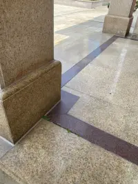 今天看到草的感悟

草，这看似平凡无奇的生命，却蕴含着无尽的智慧和力量。它们以纤细的身姿，在自然界中占据了一席之地，不与巨木争高，也不与繁花斗艳。它们深知自己的使命，那就是以最朴实无华的方式，昭示生命的真谛。

在风雨中，草儿们弯腰不屈，仿佛在对抗着命运的挑战。它们没有因为自己的渺小而放弃，反而在孤独中不断成长，不断超越自我。

四季更迭，草儿们见证了生命的循环，从春天的嫩芽到秋天的枯黄，再到冬天的凋零，最后迎来新的生命。

草，是春天的守望者，也是未来的期许者。它们以从容淡定的姿态，颂扬着生命的伟大和美好。在喧嚣的世界中，草儿们提醒我们寻找心灵的宁静，回归最纯粹的自我。它们告诉我们，生命的意义不在于追求外在的繁华和荣耀，而在于内心的平和与满足。配图