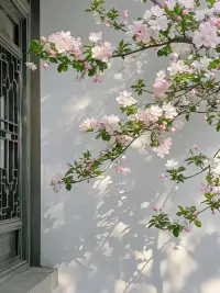 我们要学会为自己过去的所作所为买单，不管好还是不好，都要学会接受。更要时常原谅过去那个低思维，低认知的自己，甚至要时常去抱抱过去的那个自己。

或许他当时是带着惊慌失措，带着无助、伤痛在做选择，他自己本身就是一个受害者。而当不好的结果出现时，他又遭遇了二次伤害。如果还要承受别人的谴责，打压，那就是三重伤害。

​像抑郁、躁郁思维和认知出现严重偏差的人就是这样的人，还有那些童年没有被爱过的人也是一样的。像这样的人能如果能不被打到，积极乐观的熬过所有的挫折，那他的生命力有多强大，心力有多强！配图