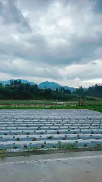 闖入了傳說中的宮崎駿的小鎮

每一張都是大自然調好的濾鏡配圖