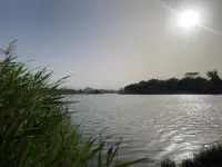 心若年輕，歲月不老。

一個得體的中年少女，是在煙熏火燎之后，仍舊能保持愛臭美的秉性。

花謝了，請修剪好枝葉；
葉落了，請保持樹的骨感！配圖
