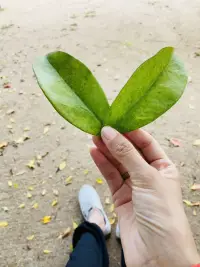 愛自己的明媚，也愛自己的破碎！??肖老師配圖