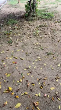 愛自己的明媚，也愛自己的破碎！??肖老師配圖
