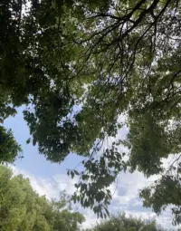 愛自己的明媚，也愛自己的破碎！??肖老師配圖