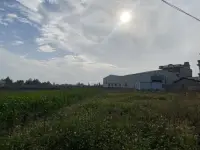 愛自己的明媚，也愛自己的破碎！??肖老師配圖