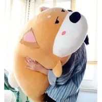 这些年我逐渐明白一件事
人这一生
终归要学会先滋养自己

那些活得风生水起的人
不是因为幸运
而是他们懂得如何“旺自己”

从内核到xi惯
把自己活成光源
到哪都能照亮脚下的路

情绪稳了，磁场就对了
曾经我也爱为小事炸毛
直到发现
情绪是流动的能量

当我把“为什么是我”换成“我能学到什么”
生活突然变得轻盈

内核越稳
磁场越强

现在的我
遇到问题先问自己：

“这件事以后还重要吗？”
答案往往让我瞬间清醒！配图