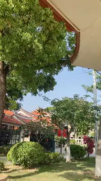 大自然是天道！


这个世界，包括人在内的一切能量，都是来源于大自然。

然而很多人长期住在商品房、坐在办公室，远离了大自然，能量磁场已经紊乱。


感知力和免疫力下降，甚至基因突变患上癌症、精神分裂……


有很多莫名其妙的身心问题，都是因为人脱离了大自然。


所以为了身心的健康，务必多亲近大自然。


经常去公园散散步、呼吸新鲜空气、晒晒太阳……


有假期了，去乡下体验田园生活，或去有山、水、花、草、树、木的地方去旅行。配图