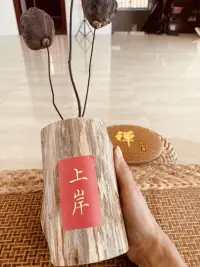 非常释怀的一段话：当一个人深陷低谷，遭遇人生重大挫折与磨难时，请不必害怕，那是一个人的觉醒期，大多数人的觉醒，都是被痛醒的。

​当你经历到人生的一个绝境，没有任何退路和依靠，无人替你遮风挡雨，你就会彻底迸发内在的力量，从而有机会走向真正内在强大的觉醒。

​每一个人都有自己的觉醒期，但觉醒的早晚决定了一个人的命运。没有任何绝境不是终点，而是灵魂的十字路口。

​当所有退路消失，人反而能看清自己真正要走的路——就像黑夜里的萤火虫，越暗的地方，光芒越亮。  

​尼采说：凡不能毁灭我的，必使我更强大。配图