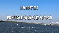 有个词叫“代际遗传”，是指父母或祖辈的心理问题、行为模式、创伤经历等，通过各种方式遗传给下一代，影响后代的心理发展和行为方式。这种传递不仅仅是通过基因，还包括家庭环境、养育方式、文化传统等多种因素。

你可以观察自己的家庭历史，看看是否有人罹患心理问题或有特定的性格特征、通过自身的反思，评估自己的情感状态和行为模式是否与父母相似，如果你发现祖辈或父母身上不良的心理状态和行为模式在无形中传递给你，这是需要认真对待的。

为了打破这种循环，首先要具备良好的自我觉察能力，意识到自己可能处于代际模式。有必要刻意寻求专业的心理咨询帮助，专业的心理咨询师会帮助你理解这些模式对于自身的影响，并提供实用的应对策略。此外调整自己的思维模式和行为方式，也能起到正向积极的作用。配图