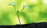 來練習一下 課題分離 吧

     - 當感到焦慮時，問自己：“這是誰的課題？”如果是他人的課題，就學會放下；如果是自己的課題，就專注于如何解決。

     - 例如，別人對你的評價是他們的課題，而你如何提升自己是你的課題！??配圖