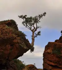在這個世界上，沒人會如你愛自己一般愛你，愛自己，才是最終浪漫的開始。

可能現(xiàn)實生活中，很多人都渴望被愛，希望從別人那里獲取關(guān)注。

與其等著別人來愛你，不如學(xué)會好好愛自己。當(dāng)你開始愛自己的時候，別人也會愛你。

人都是根據(jù)你對待自己的態(tài)度來對待自己的。所以，人這一生最大的修行，就是好好愛自己。配圖