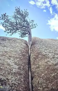 生長在不穩定、充滿沖突和情感虐待的原生家庭中的孩子，有可能患上邊緣型人格障礙。

患者情緒極不穩定，常常在極端的情緒狀態之間快速轉換，如一會兒極度興奮，一會兒又陷入深度抑郁；

人際關系也很不穩定，對他人的看法容易從一個極端走向另一個極端，可能前一刻覺得對方是完美的，后一刻就覺得對方完全不可信任；

自我認知混亂，缺乏穩定的自我形象和價值觀。配圖