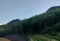 保持情绪稳定的秘诀是：永不期待，永不假设，永不强求！配图