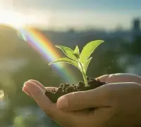 在婚姻中，人们不应将伴侣看得过重，而是要保持独立，自爱，共同面对生活的挑战。

1. 自我迷失的风险：过度依赖伴侣可能导致自我迷失，影响个人幸福和关系健康。

2. 独立的重要性：职业、社交和情感的独立能增强个人的抗风险能力和关系的和谐。

3. 关系独立法则：人们可以通过建立自我价值、爱自己和保持“战友关系”来实现独立。配图