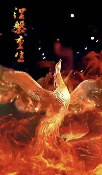 成长咨询


人间道场，淤泥生莲，世间磨难，皆是砥砺切磋我也。

生活即道场，苦难便是修行。

在生命中，我们所遭遇的每一次不幸，其实都是命运给予的试炼。

也许此刻的你正经历种种不顺，或面临失业，或遇到失败，或遭逢变故……

可即便当下再苦，只要你心怀希望，默默修炼，一定能超越所有磨难，实现自我的蜕变。配图
