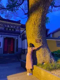 成长咨询


人间道场，淤泥生莲，世间磨难，皆是砥砺切磋我也。

生活即道场，苦难便是修行。

在生命中，我们所遭遇的每一次不幸，其实都是命运给予的试炼。

也许此刻的你正经历种种不顺，或面临失业，或遇到失败，或遭逢变故……

可即便当下再苦，只要你心怀希望，默默修炼，一定能超越所有磨难，实现自我的蜕变。配图