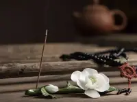 社會的真相是:

高層次拼的是:人脈、背景、關系、資源、圈子。

中層次拼的是:學歷、技能、知識、專業、能力。

底層次拼的是:時間、體力、勞力、血汗、身體。

很扎心，但這是事實，現實，我們不得不承認，面對。天亮了，照樣得出門做牛馬。配圖