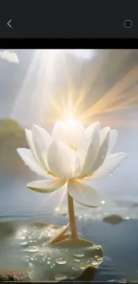 正念的力量：

人們不要被未來的焦慮和過去的回憶所困擾，而是要用心體會當下的每一刻！配圖