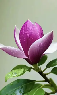 生活就是自己哄自己，把自己哄明白了什么都明白了。

不要让任何人消耗你，世界是你的，与他人无关。

回头看，轻舟已过万重山；向前看，长路漫漫亦灿烂。配图