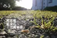 真正成长很快的人，并非洗心革面，完全颠覆了旧识，而是在原有基础上，弥补了不足，迭代了认知，升级了配置。

极少有人做到将自己完全割裂，生出另一个自己，但有人做到缝缝补补之后更加完整与成熟！配图
