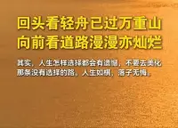 把焦慮揉碎，
和著陽光，
釀成新的勇氣。一??肖老師