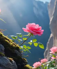 人活一辈子不能太老实🌹

有一句话这样说的，我不争，不代表你可以抢；我善良，不代表我好欺负；我能理解，不代表我可以接受；我不惹事，不代表我怕事；我很讲理，不代表我不翻脸；我让步，不代表你可以得寸进尺。

人活一辈子，不能太老实，越是老实人，越容易被人欺负。

你一定要有自己的原则和底线，性格也要强硬一些，不要太好说话，不然别人不把你当回事。

有些东西，你该争取的，你就得去争，不要听别人叫你让给他们，你就真的什么都不争。

事实上，你什么都不争，你的人生注定是过不好的。

每个人都是希望自己的生活是向上发展的，自然少不了自己的野心和追求。

人有追求，不是坏事，更是对自己的人生负责，是知道自己如何去过好自己的人生，这样的人，是不会亏待自己的。

人是要有梦想的，万一实现了呢。

千万不能做咸鱼，不然你什么都得不到。

因此，人生该争就争，才是不亏待自己。