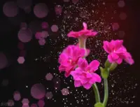 如果您感觉人际关系太累，因为你太考虑别人的感受，没有得到别人的滋养，不论工作关系，还是感情关系，你都不自觉把对方放在高位，让对方凌驾于你之上，因为你的能量被消耗，弱肉强食，别人把你当血包！

开始学会减少社交，拒绝不必要的饭局，让你去当配角的饭局，为什么要去？该问问自己，为什么需要你去配合演戏的饭局，该断的关系，都断了，该疏远的关系，都疏远吧，也许你会觉得幸福快乐很多！