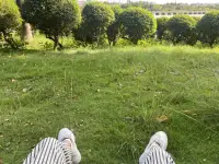 ❤️我们活在一个“假装清醒”的时代！

人们喜欢标榜“人间清醒”，可真正的清醒是什么？是朋友圈里一句“看透一切”的丧气文案？是酒桌上高谈阔论“资本异化”却仍在996里匍匐？还是深夜emo时转发两句尼采，天亮后继续对领导点头哈腰？

这时代的病症，恰恰是用表演清醒来掩盖精神的跪姿。

我们嘲笑“社畜”，却不敢挣脱项圈；

我们痛斥内卷，却把焦虑当勋章。

人人都在嘶吼“我要自由”，可身体却诚实地把自己钉死在流水线上——我们不是活得太现实，而是活得太懦弱。

这个时代不缺聪明人，缺的是不肯被驯化的野性；不缺高学历的奴隶，缺的是敢在精神上直立行走的人。配图
