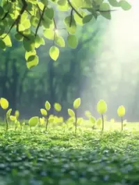 一段健康的關系，不管是親子還是夫妻，靠的從來不是一方對另一方多么“用力”的愛。

而是彼此間很少的攻擊、對抗和強迫。配圖