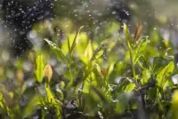 ??年輕時的我們總以為別人說什么，是在評價自己。

現在想想，不過是各自心理在演戲。每個人都有軟肋，也都自帶刺。有的時候爭不過，不是因為能力不行，只是還沒摸透人心。

等你看清了，人性的“套路”就像地鐵廣告，每天變換花樣，本質卻一模一樣。什么“能力不行”“你做不到”“我這都是為你好”……聽多了，你再也不會被帶節奏，反而一笑置之。


最厲害的人，從不在意外界的評價。懂得了人性的“潛規則”，就會學會同樣用淡定與格局反擊。

人生路山高水長，被別人否定幾句算什么，卷起袖子加油干，才是正經事。


記住一點，誰都會在意別人的看法，但成長的關鍵就是，把他人的聲音變成風景而不是阻礙。一肖老師配圖