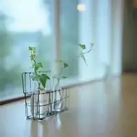 “一份壞的關系，不僅消耗你的能量，還會把你的感情、你的生命力、你的動力、你身體的種種機能都一點點耗盡。”生活中你會遇到很多人，他們通過打壓、內耗你的方式，消耗你的能量，吹滅你人生的燈。

你若與之過多糾纏，整個人生都將陷入一片灰暗。只有護好自己的心燈，不共情，不回應，才是成年人最有遠見的做法。一肖蕭配圖