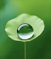 ??能治療人心靈創傷的，
不是時間，
也不是某個人的影響，
而是從內心提升的認識，
打開的格局，
釋懷的心里！

有人一輩子放不下一件事，
有人學習了一輩子仍仇恨某人，
從外界得到的終究不能長久，
而從自我心里放下的，
最終才能解脫！配圖