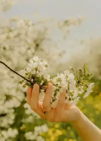 ❤️婚姻困扰咨询


凡是家庭幸福的，夫妻关系好的，都有一个共性，那就是这个男人特别智慧，他会把自己的小家庭放在首位，一定不允许任何人欺负他老婆、孩子（包括自己的父母也不能），知道疼老婆，爱孩子。

凡是家庭不顺的，也都有一个共性，那就是家里的女人不被重视。

​家庭幸福，取决于妻子和丈夫相向而行;家庭不幸福，多在于妻子和丈夫相背而行。

​家庭成员互敬互爱互相包容，有话轻声慢语商量着口气交流！一❤️肖老师配图