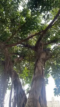 ??焦慮的反義詞是‘具體’——把‘我好焦慮’換成‘我今天要做什么’，問題就解決了一半！配圖