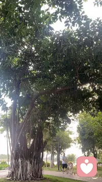 ??一段非常治愈的話：“日落是免費的，春夏秋冬也是！

不要覺得人生那么無望，希望你是快樂的。

我們總是為遙不可及的事情奔波，卻錯過了路邊的花開，卻錯過了傍晚落在身上的夕陽。配圖