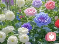 ??瑞士心理學家榮格說：“潛意識正在操控你的人生，而你卻稱其為命運。”

?你是否常常陷入這樣的循環：決心改變，卻在關鍵時刻退縮；渴望理性，卻總被情緒主導；

甚至一次次陷入相似的困境，最終只能歸咎于“命運”？

?那些看似不由自主的選擇，其實往往源自未被覺察的潛意識——也許是童年形成的自我否定，也許是未經處理的創傷或固化的信念。

它們像一只看不見的手，悄悄引導我們走向熟悉的劇本，卻讓我們誤以為一切都是命運的安排。

?但命運從來不是定數。

當我們開始傾聽內心的聲音、審視自己的模式，便是打破輪回的開始。只有看見潛意識的存在，才能拿回人生的主動權！一??肖老師配圖