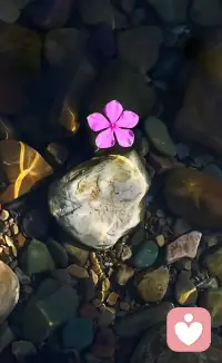 ??伴侶讓你受委屈時(shí)，請(qǐng)記住鱷魚(yú)效應(yīng)

當(dāng)對(duì)方的言行讓你感到委屈和傷害時(shí)，想保護(hù)好自己

你需要做到這三點(diǎn):?

第一，停止“無(wú)效溝通”，別指望鱷魚(yú)能聽(tīng)懂道理。?你要做的第一件事，就是識(shí)別出哪些溝通是“無(wú)效的。?如果你已經(jīng)清晰地表達(dá)過(guò)一次你的感受，對(duì)方的回應(yīng)卻是狡辯、指責(zé)或者冷漠，那么請(qǐng)立刻停止。?繼續(xù)爭(zhēng)辯下去，并不會(huì)讓他突然醒悟，只會(huì)讓你自己的情緒被反復(fù)消耗。你不能指望一頭咬住你的鱷魚(yú)，會(huì)突然聽(tīng)懂你的道理。?

第二，把焦點(diǎn)從“改變他”，轉(zhuǎn)移到“保護(hù)我”。?當(dāng)你還想繼續(xù)爭(zhēng)辯時(shí)，你的潛意識(shí)其實(shí)是想“改變他，想讓他認(rèn)錯(cuò)。?這個(gè)念頭，就是你伸向鱷魚(yú)的另一只手。?你必須立刻把焦點(diǎn)拉回到自己身上，問(wèn)自己一個(gè)問(wèn)題:?“現(xiàn)在，我怎樣才能讓自己不再繼續(xù)難受??答案可能是離開(kāi)這個(gè)房間，去陽(yáng)臺(tái)吹吹風(fēng);可能是戴上耳機(jī)，聽(tīng)一首喜歡的歌。?先保護(hù)好自己的情緒，這比贏(yíng)得任何爭(zhēng)吵都重要。?

第三，用“設(shè)定邊界”的行動(dòng)，代替“情緒化”的抗議?哭鬧、指責(zé)、反復(fù)講道理，這些都是“情緒化”的抗議。?它在告訴對(duì)方:我雖然很痛苦，但我還在這場(chǎng)游戲里。而“設(shè)定邊界”，則是一種冷靜的行動(dòng)。?比如平靜地說(shuō):“你再用這種方式對(duì)我說(shuō)話(huà)，我就會(huì)離開(kāi)。”

然后，如果他繼續(xù)，你就真的轉(zhuǎn)身離開(kāi)。?

這就像你不是去打鱷魚(yú)，而是選擇默默地從沼澤里往后退，你不是在戰(zhàn)斗，你是在用行動(dòng)告訴他，你的底線(xiàn)在哪里。?

請(qǐng)記住，面對(duì)關(guān)系里像“鱷魚(yú)咬住”般的困境，你贏(yíng)的方式，不是急著逃離，而是和伴侶一起找到掙脫的出路。?配圖