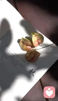 💕生活中我们总是容易焦虑内耗，也是因为我们总把确切的结果，作为人生的导向！

但世事多变，不确定性才是生活的常态。

若我们一直想控制一切，只会让自己陷入一个永远满足不了的状态！配图