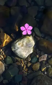 💕最美好的状态就是，看过了世界的黑暗与痛苦，却依然相信它的单纯与美好！配图