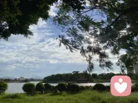 💕别不信通透的人从不着急结婚
 
他们见过太多为了“到年纪该结婚”而凑活的婚姻，
看着别人在柴米油盐里消耗热情，
在鸡零狗碎里磨掉初心，
便不愿自己也跳进“将就”的陷阱；

他们清楚婚姻不是逃避孤独的避难所，也不是对抗世俗眼光的工具，

若没有同频的灵魂、合拍的生活节奏，再早的婚姻也只是空有外壳。配图