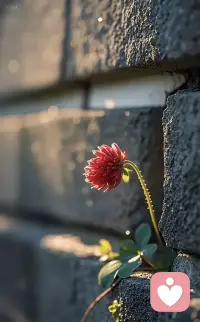 真正的勇士，是敢于直面惨淡的人生，敢于正视淋漓的鲜血。

生活是一座围城，每个人的人生都是自己选择的结果！配图