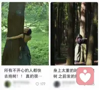 禅修故事：抱树即修心

唐代有位禅师，总让弟子去抱一棵老槐树。

弟子不解：“抱树有何用？”

禅师答：“树可曾嫌弃过风雨？烈日下它遮荫，寒冬里它枯立。

你抱它时，若能学它接纳无常，便悟了禅。”

后来弟子顿悟：人生如树，顺逆皆常态。与其对抗焦虑，不如像树一样，扎根当下，随风而动！配图
