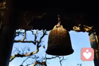 ??風吹幡動，不離風、不離幡、不離心。

若離風則幡不曾動，若離幡則不見風動，若離心則不知何為動。

悟者謂一切從心起，心不起則一切不起，心不動則一切不動，故說心動，亦為悟語。

心靜，便見萬物波瀾不驚！配圖