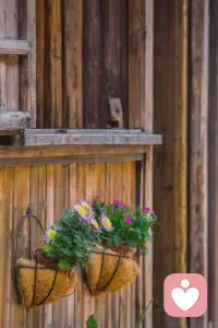 ??張愛玲說過：這世界上哪有相愛不能在一起，一定有一個人撒了謊，如果真愛一定會不顧一切在一起，無非就是權衡利弊罷了，沒有例外！配圖