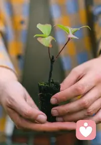 ??當(dāng)夫妻之間的矛盾自己無法解決時(shí)

1、可以尋求親友的幫助，他們可能會(huì)從旁觀者的角度提供一些客觀的建議和意見。

2、專業(yè)咨詢：如果婚姻內(nèi)耗問題比較嚴(yán)重，可以尋求專業(yè)心理咨詢師或婚姻家庭治療師的幫助。他們具有專業(yè)的知識(shí)和經(jīng)驗(yàn)，能夠幫助夫妻雙方更好地理解彼此解決矛盾！配圖