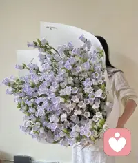 ??有一個心態可緩解焦慮：祛魅


簡單來說就是摘除掉你對一切看起來高大上的人、事、物的濾鏡，消解掉他們的魅惑力，不要神化一切，理性對待就好。

這真的是一種很強的心態，而且一旦你擁有了這種心態，就可以成長的很快！配圖