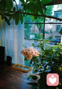 💕做了许多心理咨询，我发现强大的本质不是对抗，而是允许！


要允许遗憾，允许愚蠢，允许不完美，允许付出没有回报。


当你开始允许，你反而获得了柔软的力量。

因为真正的强大，不是竖起高墙，而是打开怀抱。

世界不会因为你的抗拒而改变轨迹，但你会因为内心的允许而获得平静。

允许一切发生，不是妥协，是一种比控制更高级的掌控。一❤️肖老师配图